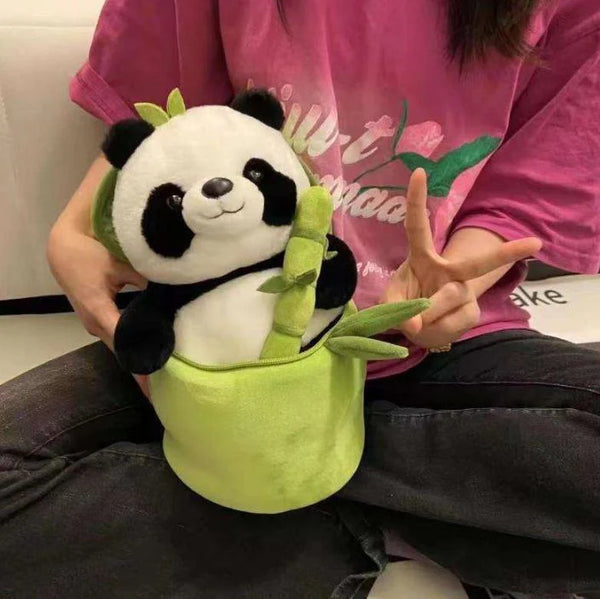 eco-friendly teddy bear Pakistan