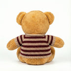 Teddy Bear With Shirt