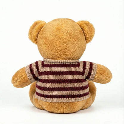 Teddy Bear With Shirt