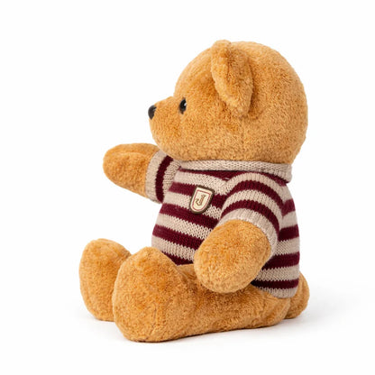 Teddy Bear With Shirt
