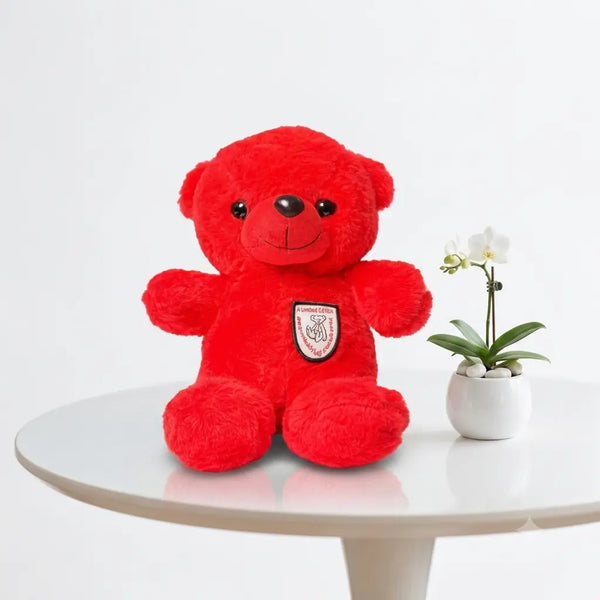 Red Teddy Bear Plush Toy